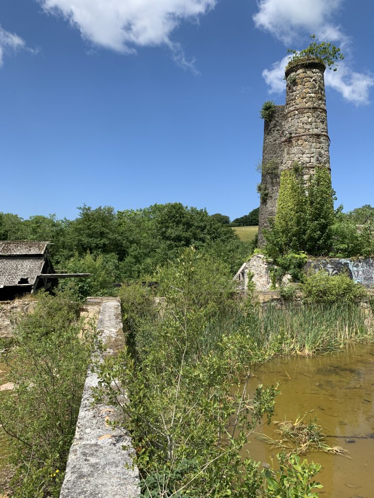 Hill Harvey-Wood - Wenford