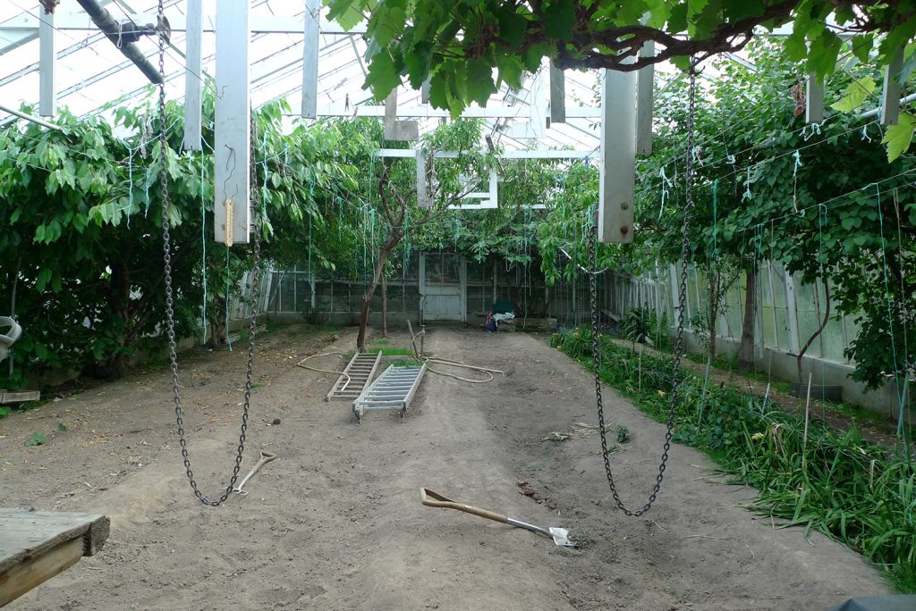 Hill Harvey-Wood - Ashleigh Grove Garden View